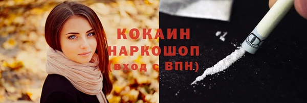 гидропоника Дмитриев